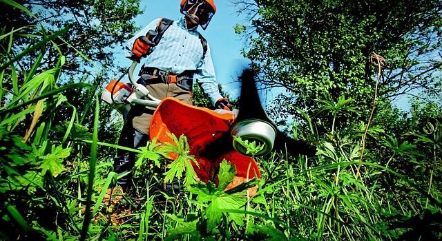 Dicas para contratar um jardineiro por perto