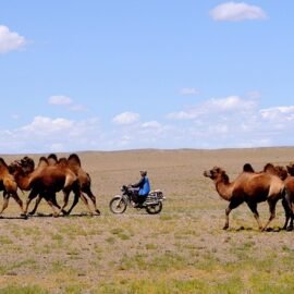Quem são os moabitas hoje?