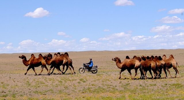Quem são os moabitas hoje?
