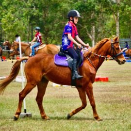 Nomes para Equipes de Gincana: 300 opções criativas