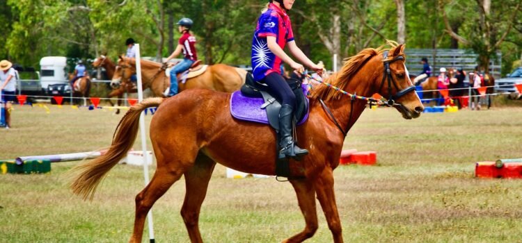 Nomes para Equipes de Gincana: 300 opções criativas Nomes para Equipes de Gincana: 300 opções criativas